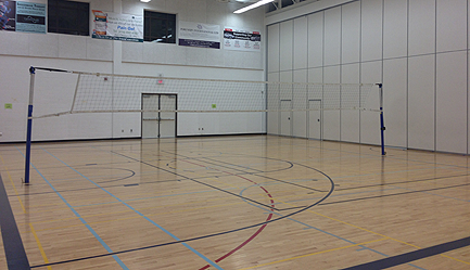Volleyball Venue